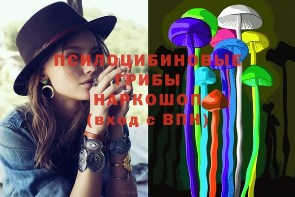 ПСИЛОЦИБИНОВЫЕ ГРИБЫ Беломорск