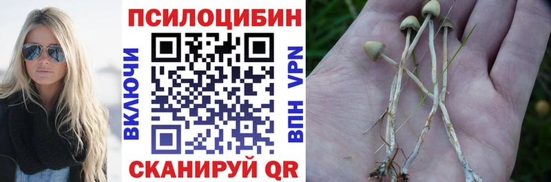 Псилоцибиновые грибы прущие грибы  где купить наркоту  Горнозаводск 